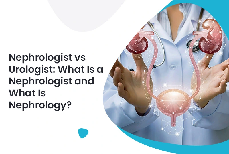 nephrologist vs urologist